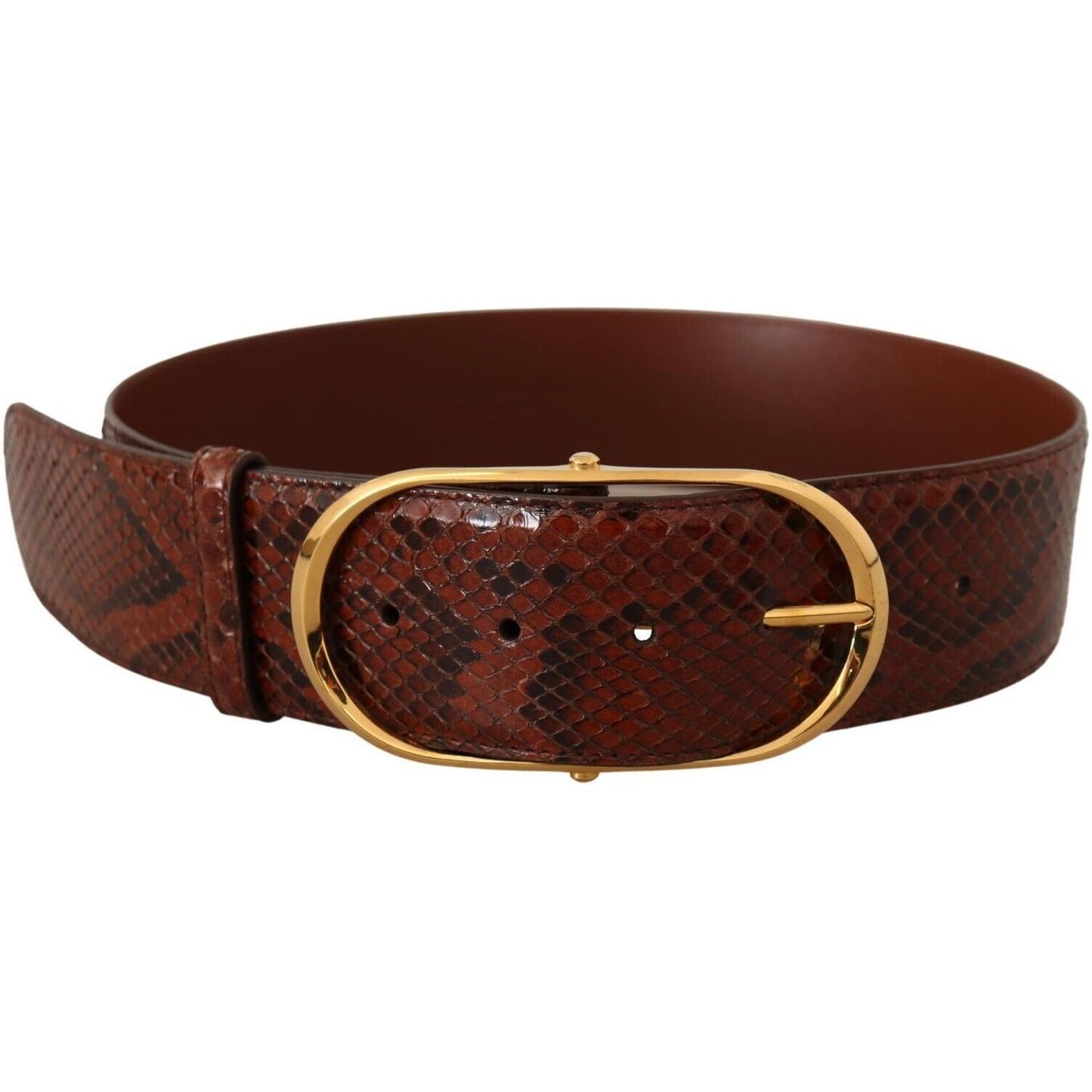 Dolce & Gabbana Elegant Python Snake Skin Leather Belt WOMAN BELTS Dolce & Gabbana