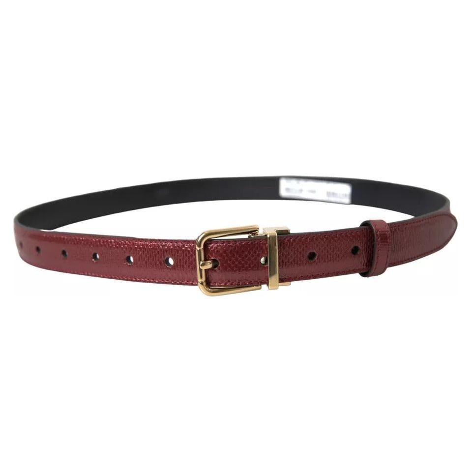 Dolce & Gabbana Maroon Leather Gold Metal Buckle Men Belt Dolce & Gabbana