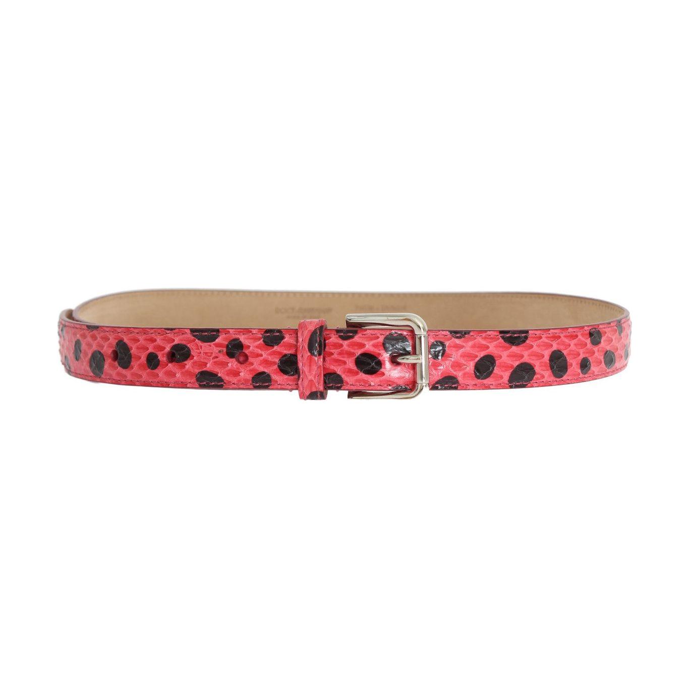 Dolce & Gabbana Polka Dot Snakeskin Belt with Silver Buckle Belt Dolce & Gabbana