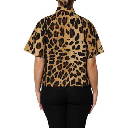 Dolce & Gabbana Brown Leopard Short Sleeve Collared Polo Top