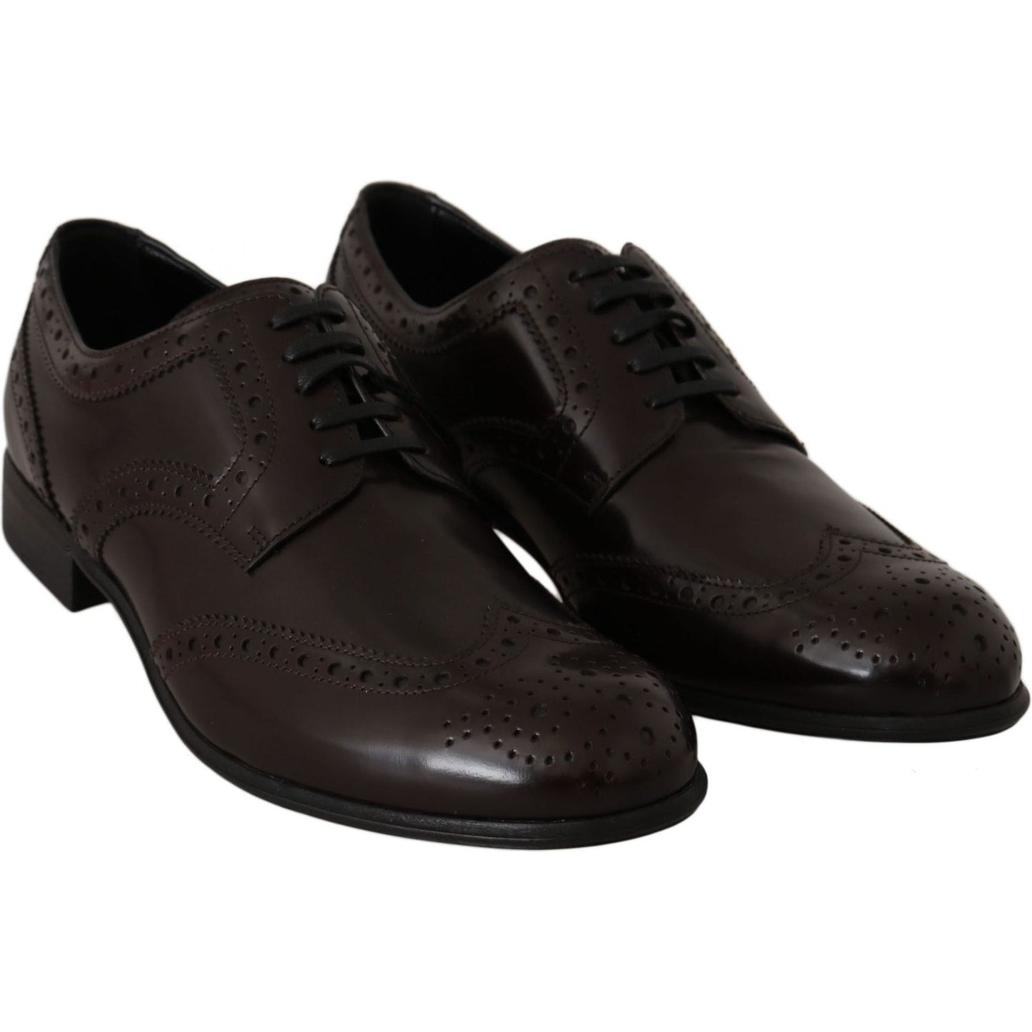 Dolce & Gabbana Brown Leather Broques Oxford Wingtip Shoes