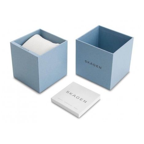 SKAGEN DENMARK Mod. SUNDBY TITANIUM